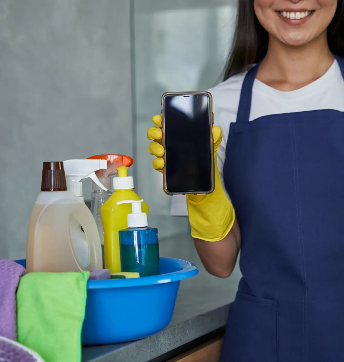 Professional Home Cleaning Services Professional Home Cleaning Services